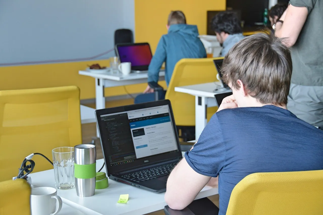 Participants at a Python Weekend