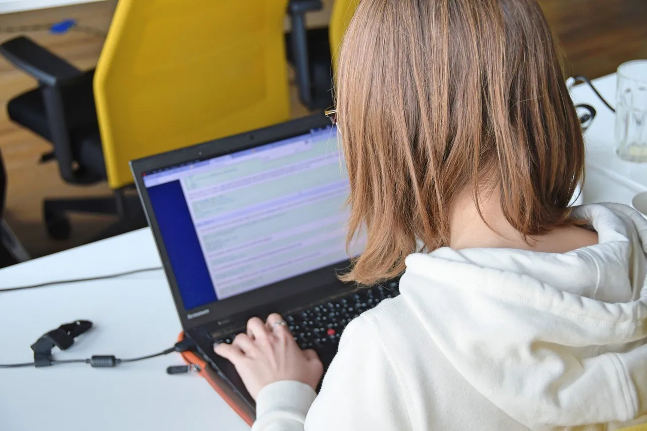 Participants at a Python Weekend